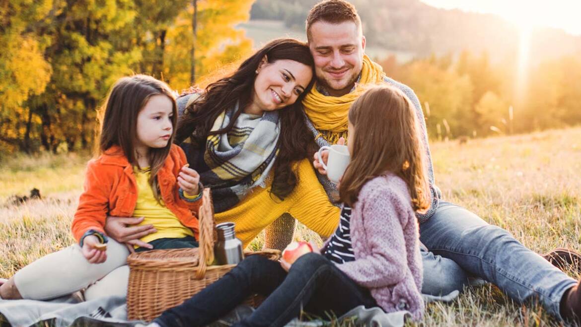 <strong>Life Insurance</strong>