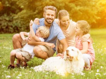 <strong>Life Insurance</strong>