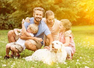 <strong>Life Insurance</strong>