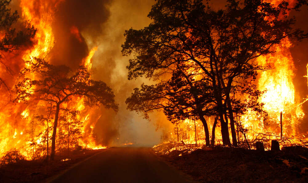 Fire Safety: How to Prevent and Respond to Wildfires in the Summer Months